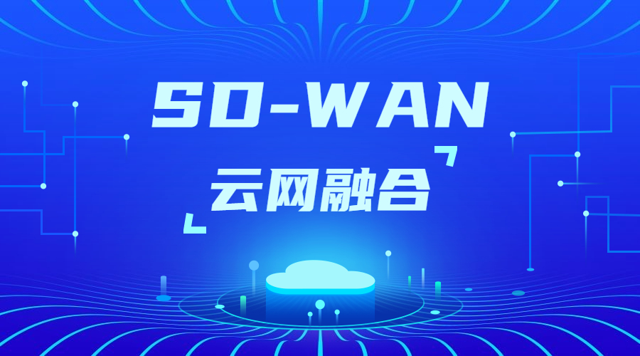 SD-WAN組網(wǎng)支持的方式