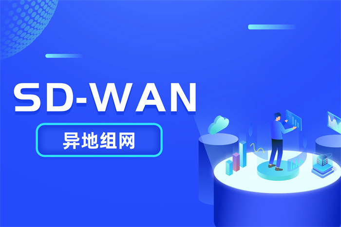 企業異地組網常見的方式 企業異地組網常見的方式