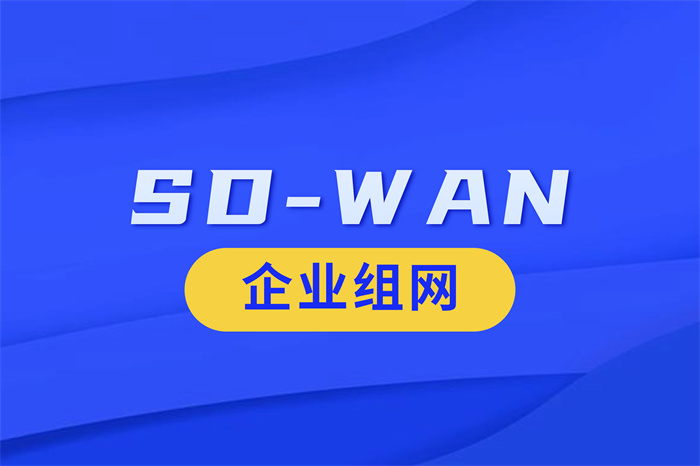 SDWAN組網成本