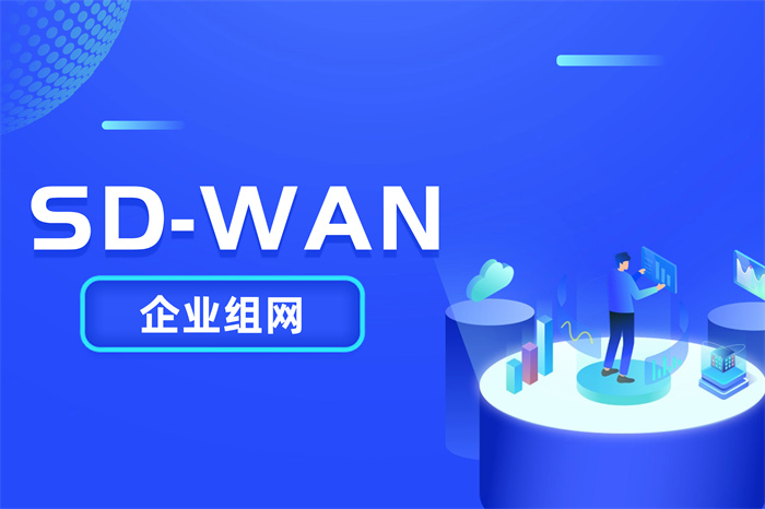 sdwan設備需要多少費用 sdwan設備需要多少費用