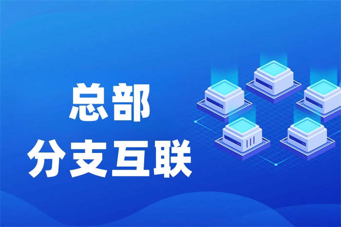 集團(tuán)企業(yè)如何建立內(nèi)部組網(wǎng)