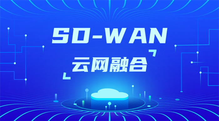 sdwan怎么搭建 sdwan怎么搭建