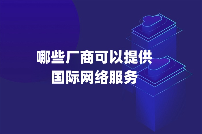 哪些廠商可以提供國際網絡服務
