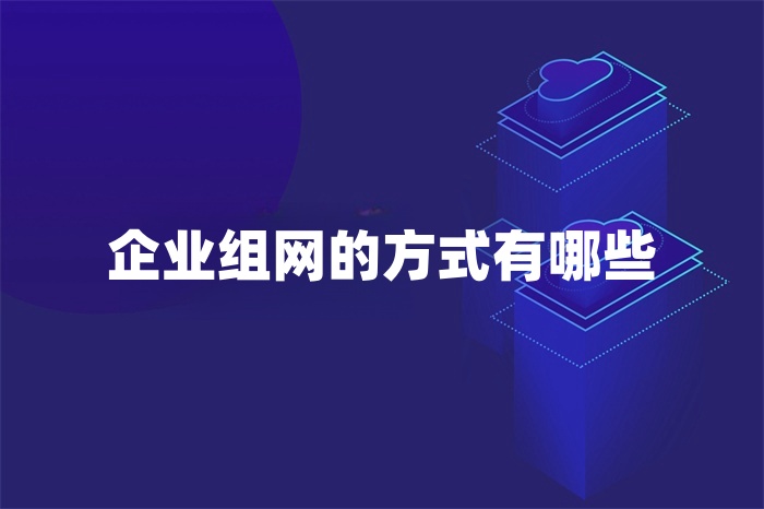 企業(yè)組網(wǎng)的方式