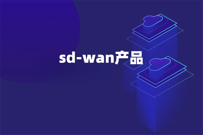 sd-wan的產品包括哪些 sd-wan的產品包括哪些