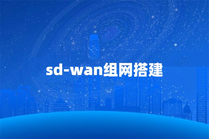 sd-wan組網搭建