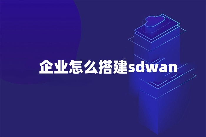 企業(yè)怎么搭建sdwan 企業(yè)怎么搭建sdwan