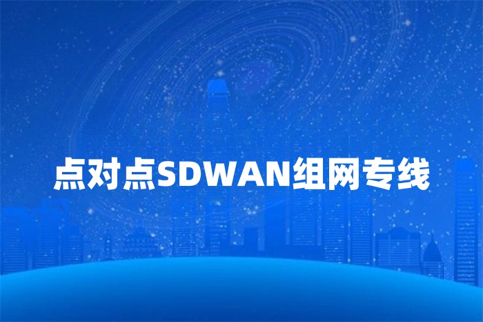 點對點SDWAN組網專線 點對點SDWAN組網專線