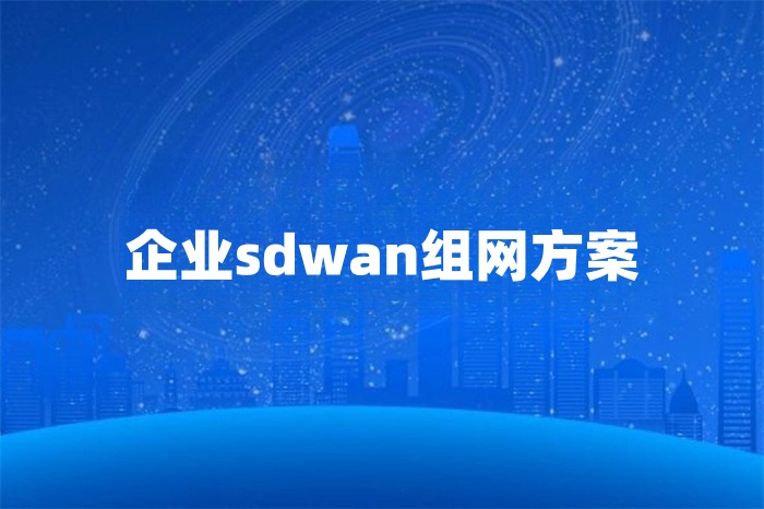 企業sdwan組網方案 企業sdwan組網方案