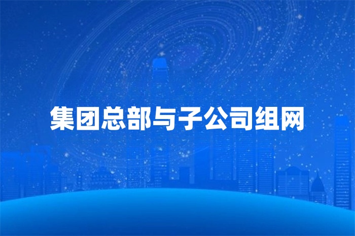 集團總部與子公司組網 集團總部與子公司組網