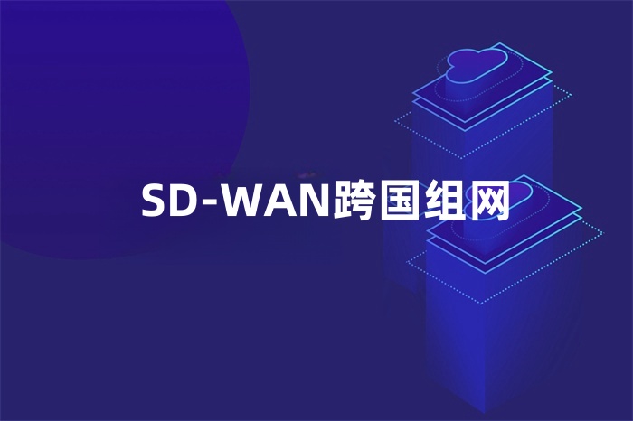 SD-WAN跨國組網