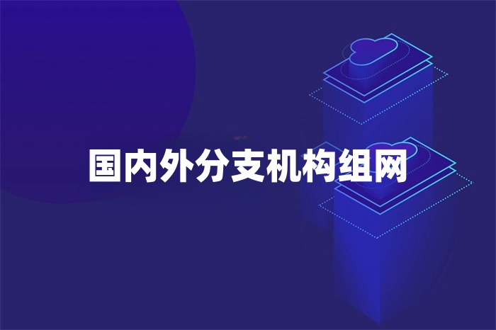 國內(nèi)外分支機(jī)構(gòu)組網(wǎng)