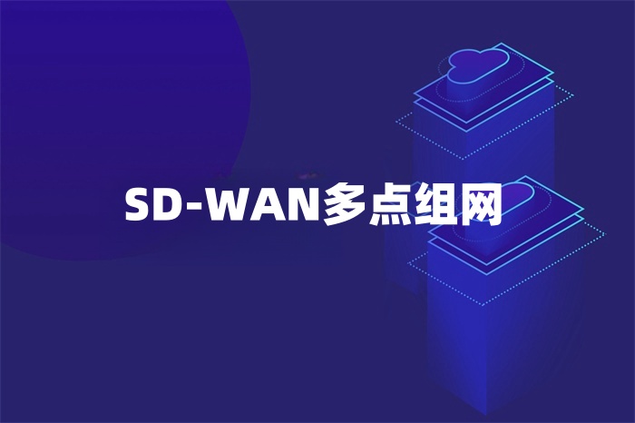 SD-WAN多點(diǎn)組網(wǎng) SD-WAN多點(diǎn)組網(wǎng)