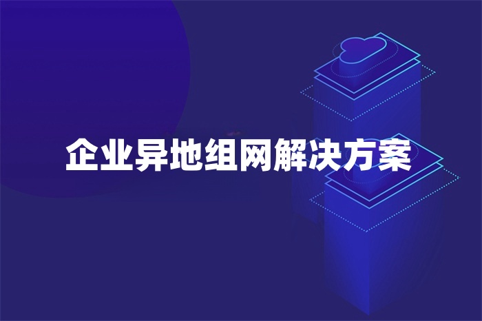 企業(yè)異地組網(wǎng)解決方案