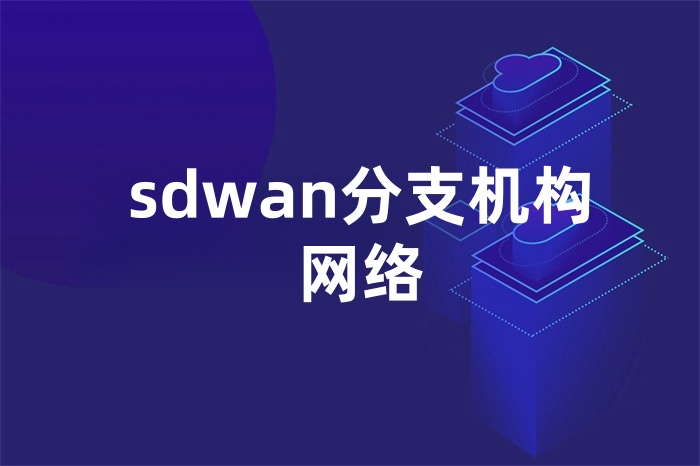 sdwan分支機構(gòu)網(wǎng)絡(luò)