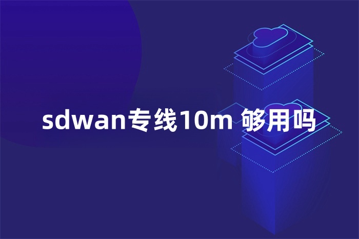 sdwan專線10m 夠用嗎