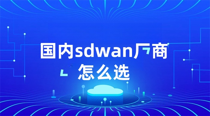 國內sdwan廠商怎么選 國內sdwan廠商怎么選