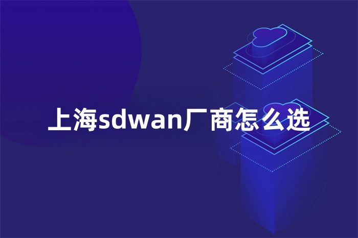上海sdwan廠商怎么選