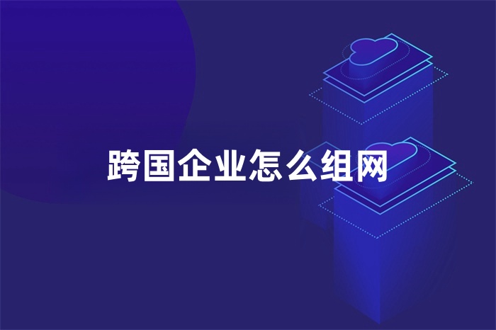 跨國企業(yè)怎么組網