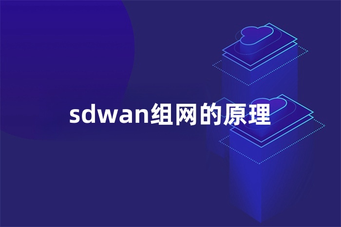 sdwan組網的原理