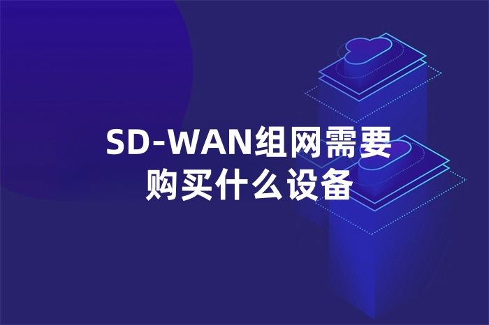 SD-WAN組網需要購買什么設備