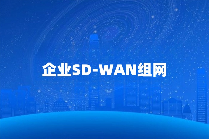 企業(yè)SD-WAN組網(wǎng)