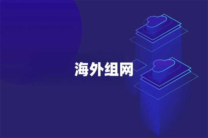 海外組網 海外組網