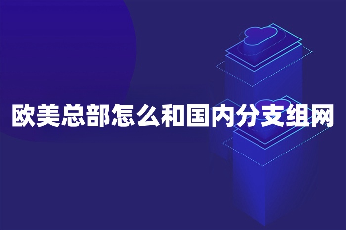 歐美總部怎么和國內(nèi)分支組網(wǎng)