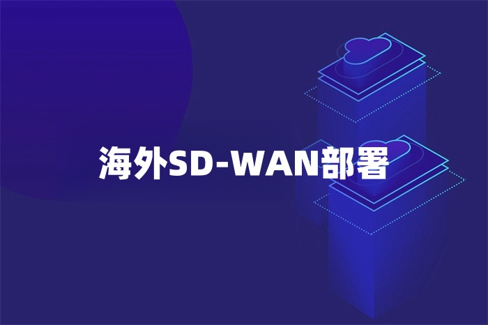 海外SD-WAN部署