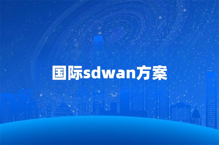 國際sdwan方案 國際sdwan方案