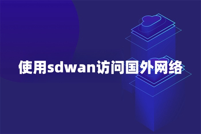 使用sdwan訪問國外網絡 使用sdwan訪問國外網絡