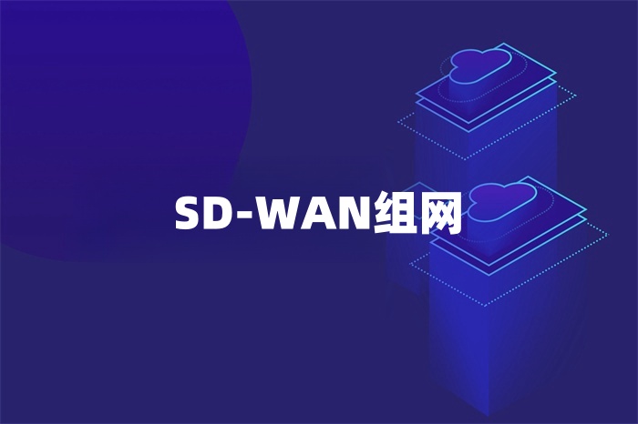 SD-WAN組網(wǎng)