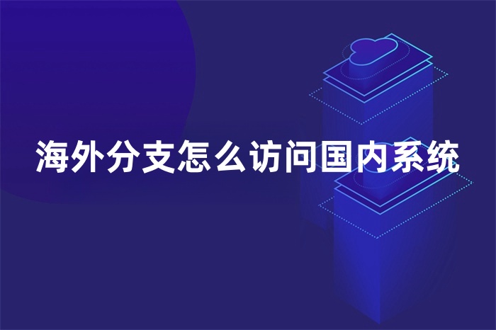 海外分支怎么訪問國內系統 海外分支怎么訪問國內系統