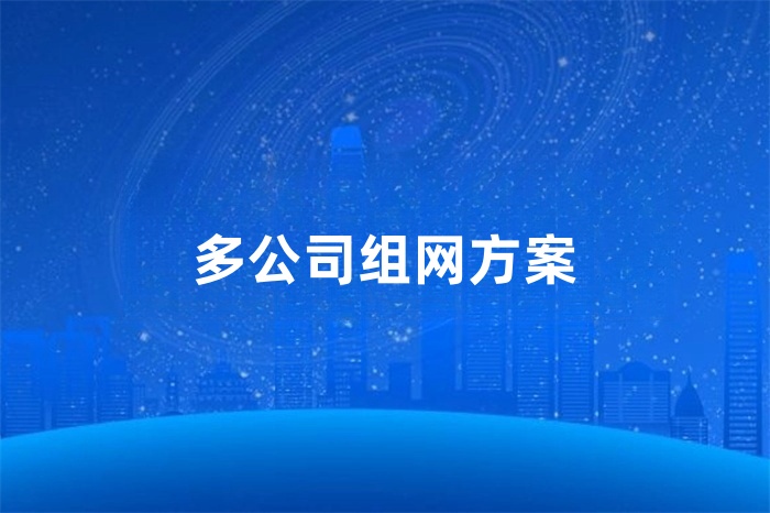 多公司組網(wǎng)方案