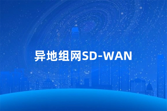 異地組網SD-WAN