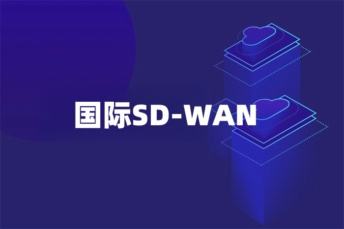 國際SD-WAN 國際SD-WAN