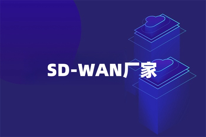 SD-WAN廠家 SD-WAN廠家